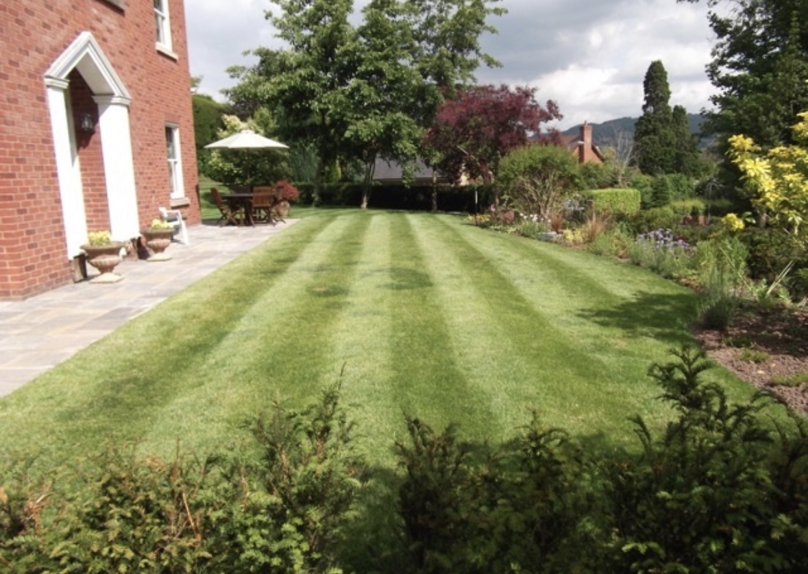 Freshly striped lawn in Ayrshire — lawn care by Roots & Lawns