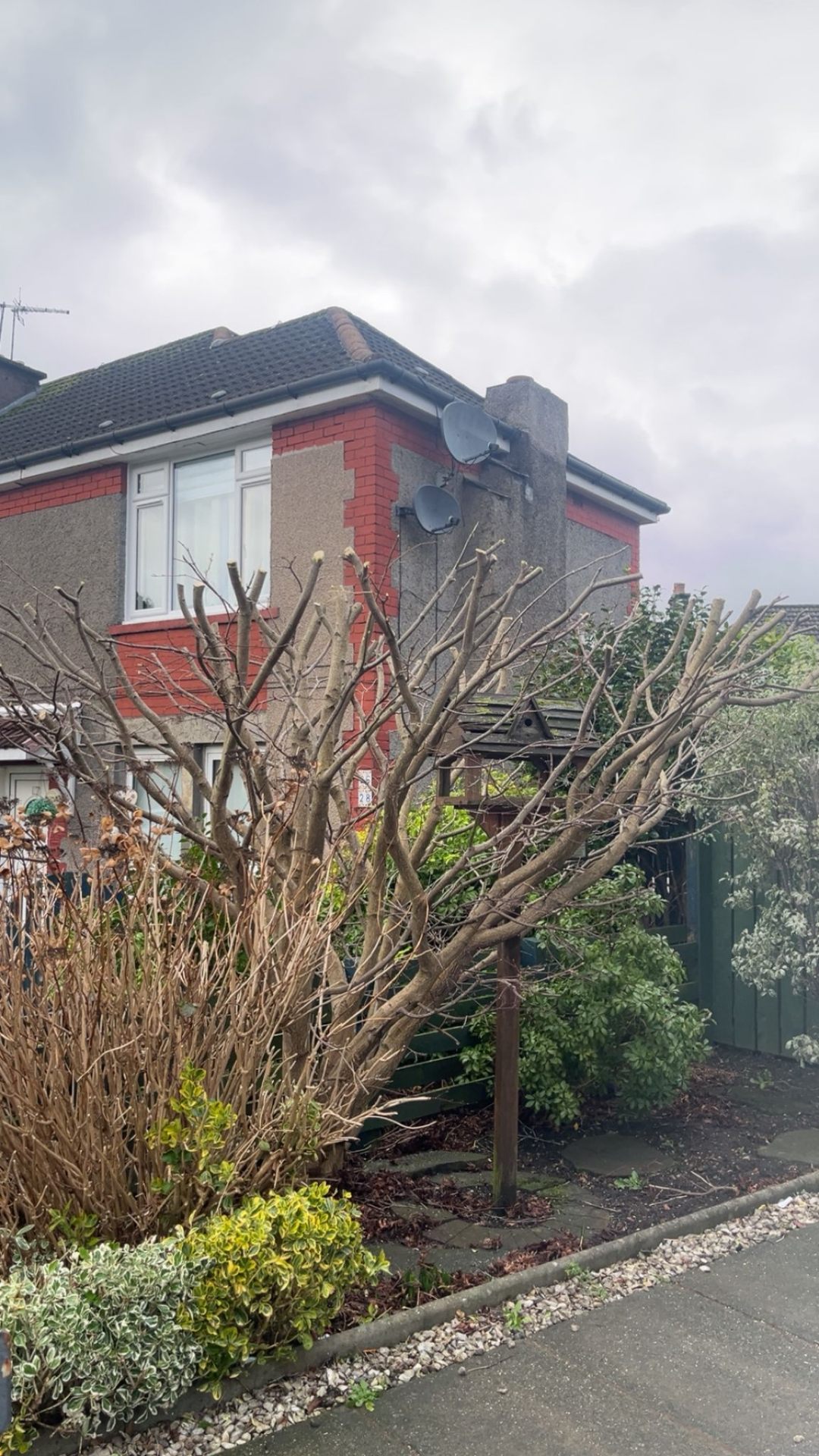 Roots & Lawns garden project in Ayrshire