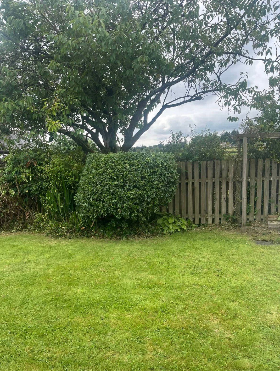 Professional garden maintenance by Roots and Lawns Gardening Services